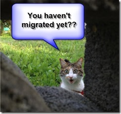 portal migration funny